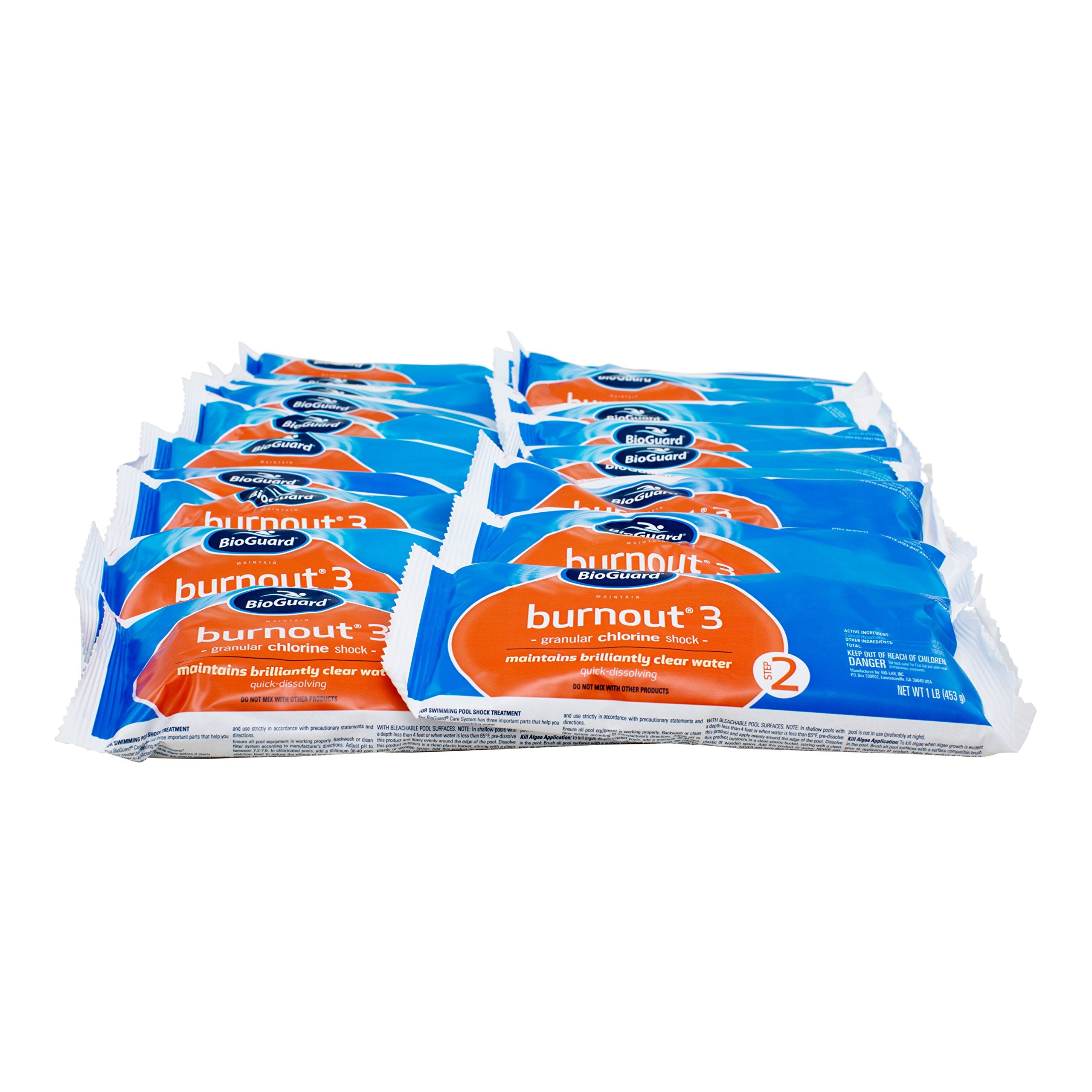 BioGuard Burnout 3, 1 lb, Pack of 24, Quick Dissolving, Maintains Brilliantly Clear Water, Effective for Proper Pool Maintenance