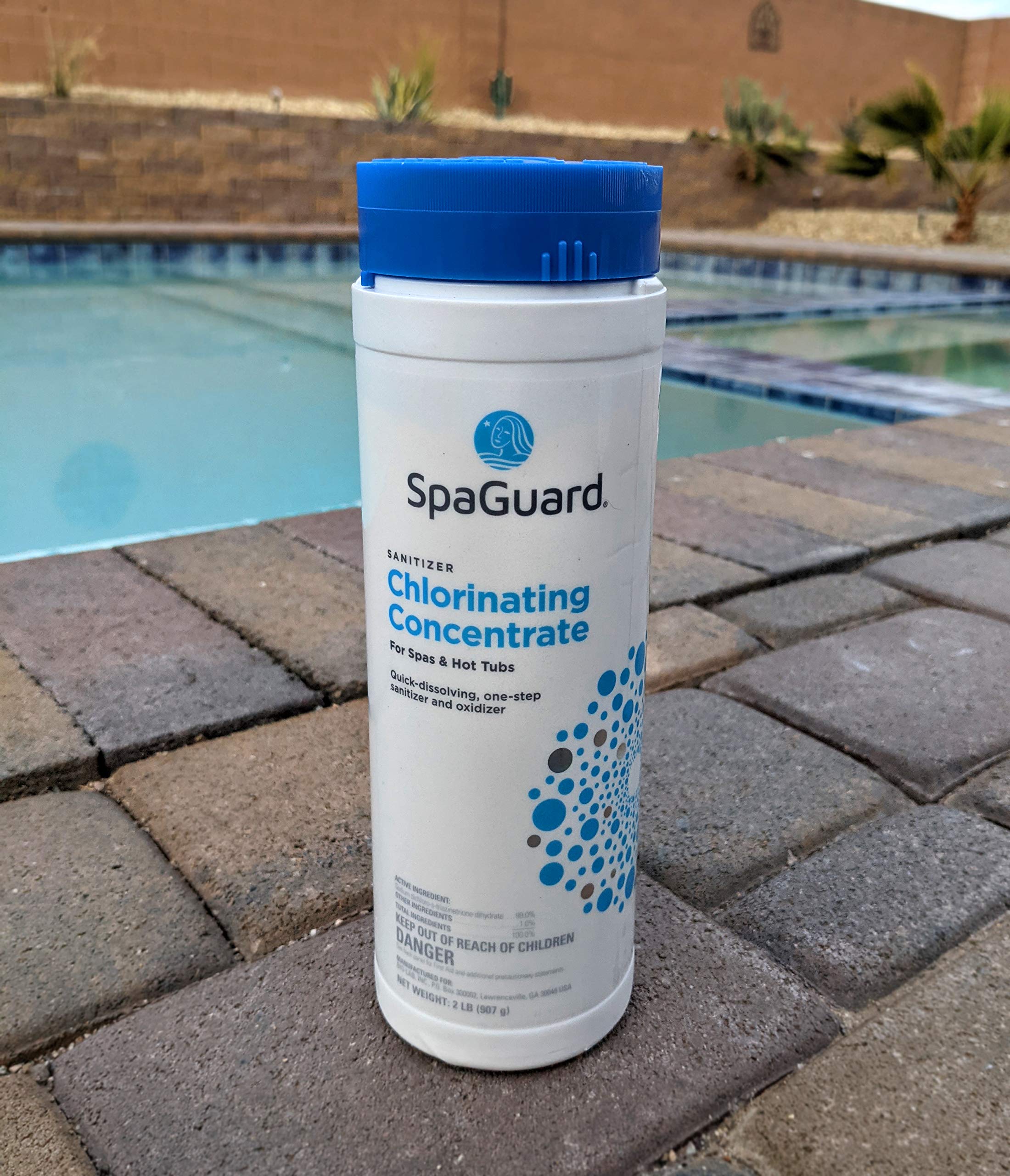 SpaGuard Spa Chlorinating Concentrate, 2 lb, Single Pack